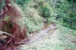 キリマンジャロ山の尾根を縫い、村まで水を運ぶキディア伝統水路