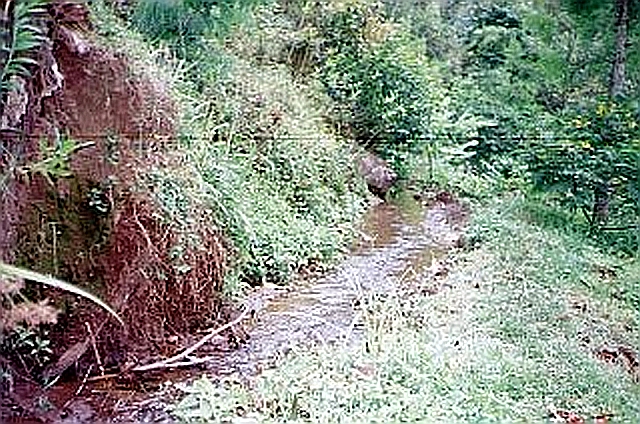 キリマンジャロ山の尾根を縫い、村まで水を運ぶキディア伝統水路