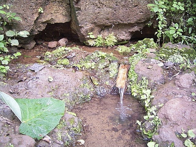 森の中にある伝統灌漑水路の水源