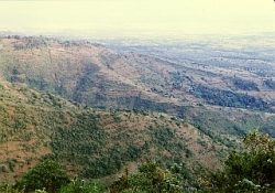植林前のキリマンジャロ山マヌ村の植林地遠景 （1999年）