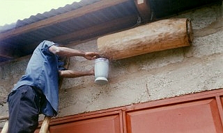 軒下に吊された伝統養蜂箱からの収穫作業
