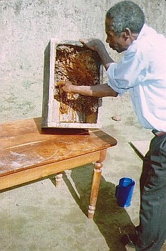 養蜂箱