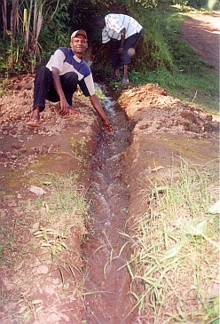 伝統水路は幹線水路から分流され、村人たちの畑へと流れていく