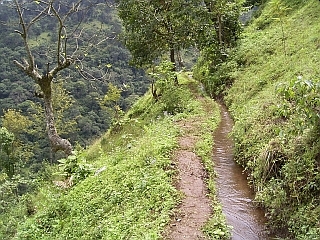 キリマンジャロ山の急峻な尾根を縫うようにして流れる伝統水路