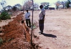 （写真３）　苗木を植えるために校庭の周りに掘られた溝