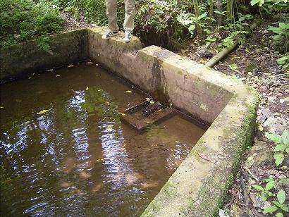 （写真１）水源近くに作られた、飲料水用のIntake。１０年ほど前までは水を満々とたたえていたが、いまではこのIntakeでいつまで水が確保できるか、分からなくなってきている。