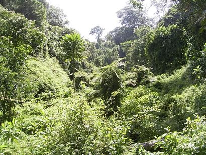 （写真２）村を出発して山道を歩くこと３時間ほど、テマ村の水源地の一つはこんな場所にある。