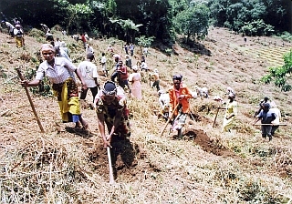 キリマンジャロ山の裸地化した斜面で植林に取り組む村の女性たち