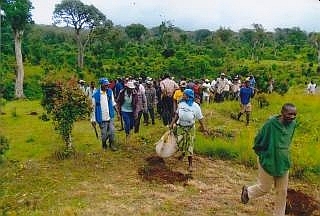 大雨季植林のため植林地に集まってきた村人たち