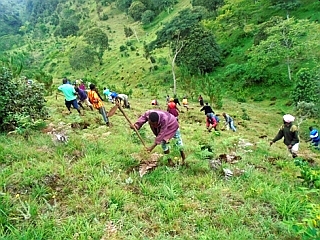 急峻な斜面で植林に取り組む村人たち