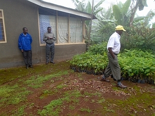 植林地まで遠いため、一時的に植林地に一番近い村人に家に苗木を置かせてもらっています