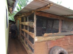 （写真３）新たに設置した鶏舎 新たに設置した鶏舎