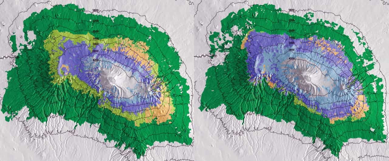 1976年と2000年のキリマンジャロ山の森林を比較した画像