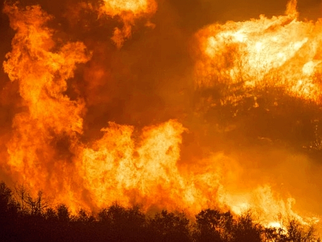 キリマンジャロ山の森林火災から１カ月半