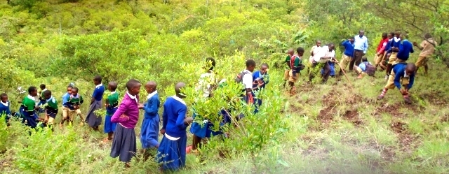 裸地化した尾根で植林に取り組む子どもたち
